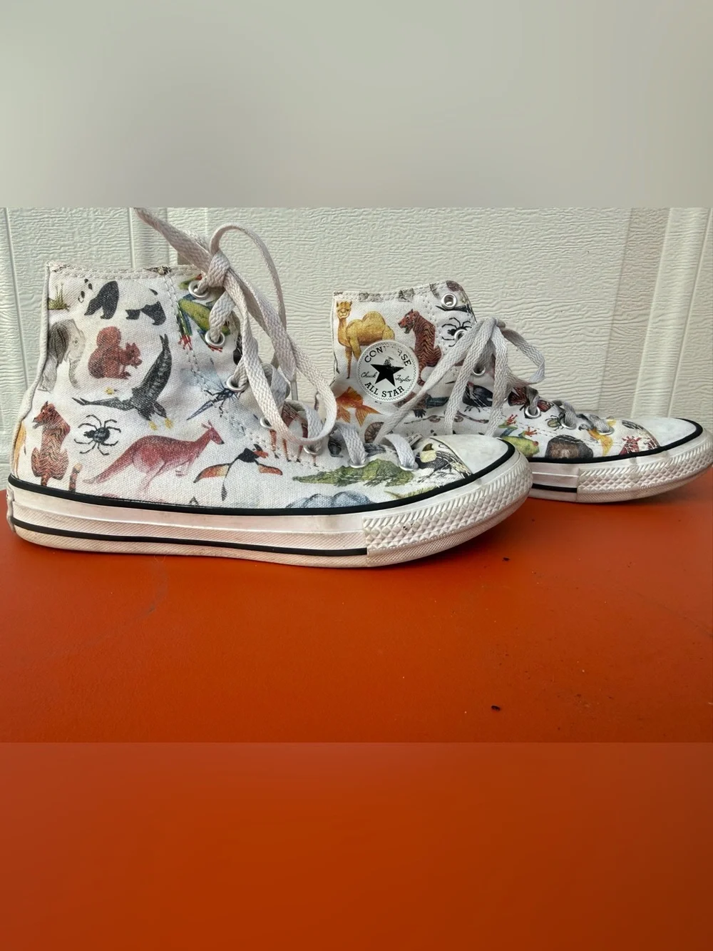 Converse Junior Chuck Taylor All Star Hi sneakers Science Class / Zoo Animals 5